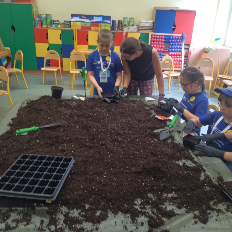 Małe Miasto w Łańcucie