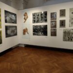 ‘’ART and Science 5'' w BWA w Rzeszowie - Polskie Radio Rzeszów