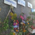 XXIII Festiwal Kwiatów w Albigowej (zdjęcia) - Polskie Radio Rzeszów