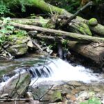 Jeziorka Duszatyńskie - malownicze miejsce w Bieszczadach (zdjęcia) 4 - Polskie Radio Rzeszów Jeziorka Duszatyńskie - malownicze miejsce w Bieszczadach (zdjęcia) - Polskie Radio Rzeszów