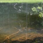 Jeziorka Duszatyńskie - malownicze miejsce w Bieszczadach (zdjęcia) 8 - Polskie Radio Rzeszów Jeziorka Duszatyńskie - malownicze miejsce w Bieszczadach (zdjęcia) - Polskie Radio Rzeszów