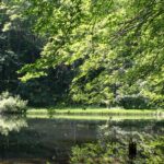 Jeziorka Duszatyńskie - malownicze miejsce w Bieszczadach (zdjęcia) 9 - Polskie Radio Rzeszów Jeziorka Duszatyńskie - malownicze miejsce w Bieszczadach (zdjęcia) - Polskie Radio Rzeszów