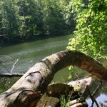 Jeziorka Duszatyńskie - malownicze miejsce w Bieszczadach (zdjęcia) 11 - Polskie Radio Rzeszów Jeziorka Duszatyńskie - malownicze miejsce w Bieszczadach (zdjęcia) - Polskie Radio Rzeszów