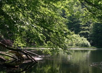 Jeziorka Duszatyńskie – malownicze miejsce w&nbsp;Bieszczadach (zdjęcia)