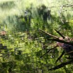 Jeziorka Duszatyńskie - malownicze miejsce w Bieszczadach (zdjęcia) 13 - Polskie Radio Rzeszów Jeziorka Duszatyńskie - malownicze miejsce w Bieszczadach (zdjęcia) - Polskie Radio Rzeszów