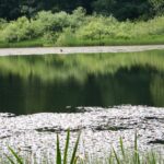 Jeziorka Duszatyńskie - malownicze miejsce w Bieszczadach (zdjęcia) 15 - Polskie Radio Rzeszów Jeziorka Duszatyńskie - malownicze miejsce w Bieszczadach (zdjęcia) - Polskie Radio Rzeszów