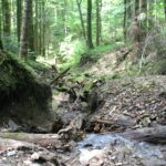 Jeziorka Duszatyńskie - malownicze miejsce w Bieszczadach (zdjęcia) 16 - Polskie Radio Rzeszów Jeziorka Duszatyńskie - malownicze miejsce w Bieszczadach (zdjęcia) - Polskie Radio Rzeszów