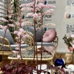 Radio Biwak 13.07 - altana Polskiego Radia Rzeszów (zdjęcia) 15 - Polskie Radio Rzeszów Radio Biwak 13.07 - altana Polskiego Radia Rzeszów (zdjęcia) - Polskie Radio Rzeszów