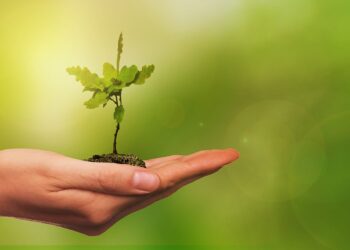 Nowy plan ochrony dla rezerwatu przyrody „Lisia Góra”