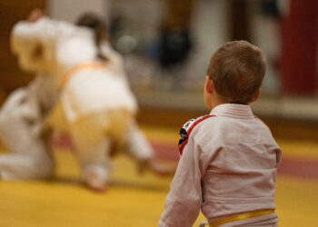 judo karate sztuki walki
