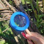 W Magurskim Parku Narodowym, czyli u źródeł natury (zdjęcia) 11 - Polskie Radio Rzeszów W Magurskim Parku Narodowym, czyli u źródeł natury (zdjęcia) - Polskie Radio Rzeszów