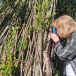 W Magurskim Parku Narodowym, czyli u źródeł natury (zdjęcia) 12 - Polskie Radio Rzeszów W Magurskim Parku Narodowym, czyli u źródeł natury (zdjęcia) - Polskie Radio Rzeszów