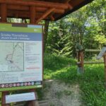 W Magurskim Parku Narodowym, czyli u źródeł natury (zdjęcia) 20 - Polskie Radio Rzeszów W Magurskim Parku Narodowym, czyli u źródeł natury (zdjęcia) - Polskie Radio Rzeszów