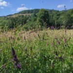 W Magurskim Parku Narodowym, czyli u źródeł natury (zdjęcia) 24 - Polskie Radio Rzeszów W Magurskim Parku Narodowym, czyli u źródeł natury (zdjęcia) - Polskie Radio Rzeszów