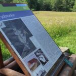 W Magurskim Parku Narodowym, czyli u źródeł natury (zdjęcia) 26 - Polskie Radio Rzeszów W Magurskim Parku Narodowym, czyli u źródeł natury (zdjęcia) - Polskie Radio Rzeszów