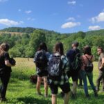 W Magurskim Parku Narodowym, czyli u źródeł natury (zdjęcia) 28 - Polskie Radio Rzeszów W Magurskim Parku Narodowym, czyli u źródeł natury (zdjęcia) - Polskie Radio Rzeszów