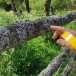 W Magurskim Parku Narodowym, czyli u źródeł natury (zdjęcia) 4 - Polskie Radio Rzeszów W Magurskim Parku Narodowym, czyli u źródeł natury (zdjęcia) - Polskie Radio Rzeszów