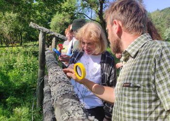 W&nbsp;Magurskim Parku Narodowym, czyli u&nbsp;źródeł natury (zdjęcia)
