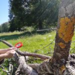 W Magurskim Parku Narodowym, czyli u źródeł natury (zdjęcia) 7 - Polskie Radio Rzeszów W Magurskim Parku Narodowym, czyli u źródeł natury (zdjęcia) - Polskie Radio Rzeszów