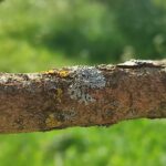 W Magurskim Parku Narodowym, czyli u źródeł natury (zdjęcia) 9 - Polskie Radio Rzeszów W Magurskim Parku Narodowym, czyli u źródeł natury (zdjęcia) - Polskie Radio Rzeszów