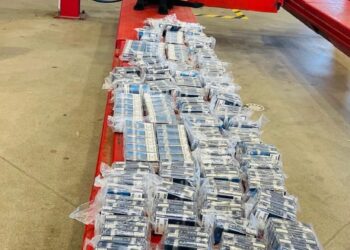 Dzielne labladorki pomogły wykryć nielegalne papierosy