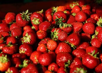 Rzeszowska policja zatrzymała złodzieja owoców