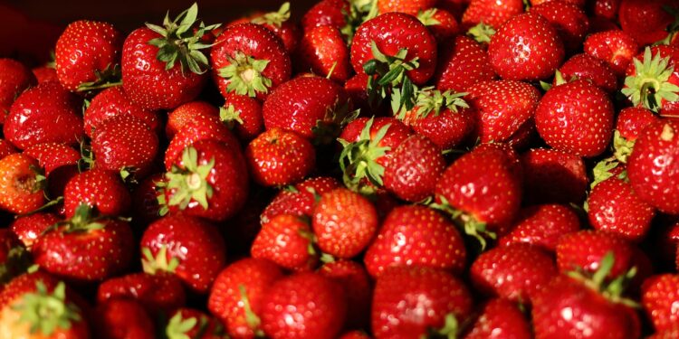 strawberry g545b410db 1280