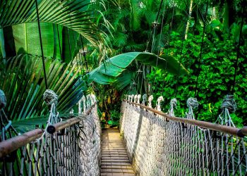 Ogrody deszczowe w Mielcu?