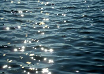 Trwają poszukiwania 19-latka w&nbsp;kąpielusku w&nbsp;Nisku