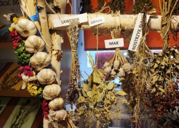 Stowarzyszenie „Nasza Wola” w&nbsp;Woli Rafałowskiej pokazuje jak można działać na&nbsp;rzecz swojej społeczności