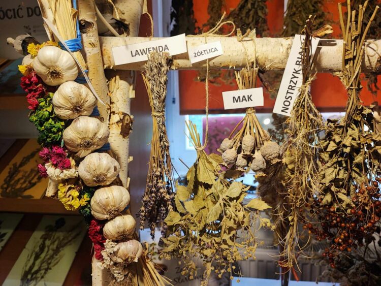 Stowarzyszenie „Nasza Wola” w Woli Rafałowskiej pokazuje jak można działać na rzecz swojej społeczności