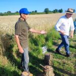 Jak dawniej wyglądały żniwa? Pokaz w Pruchniku 7 - Polskie Radio Rzeszów Jak dawniej wyglądały żniwa? Pokaz w Pruchniku - Polskie Radio Rzeszów