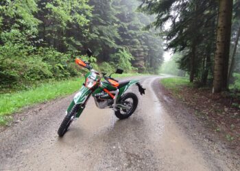 Leśnicy szukają nowych sposobów na walkę z kradzieżami drewna