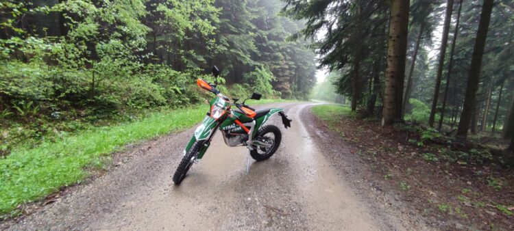 Leśnicy szukają nowych sposobów na walkę z kradzieżami drewna