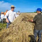 Jak dawniej wyglądały żniwa? Pokaz w Pruchniku 18 - Polskie Radio Rzeszów Jak dawniej wyglądały żniwa? Pokaz w Pruchniku - Polskie Radio Rzeszów