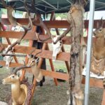 Jubileusz Polskiego Związku Łowieckiego w Nisku (zdjęcia) - Polskie Radio Rzeszów