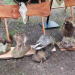 Jubileusz Polskiego Związku Łowieckiego w Nisku (zdjęcia) - Polskie Radio Rzeszów