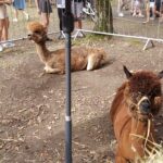 Jubileusz Polskiego Związku Łowieckiego w Nisku (zdjęcia) - Polskie Radio Rzeszów