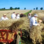 Jak dawniej wyglądały żniwa? Pokaz w Pruchniku 33 - Polskie Radio Rzeszów Jak dawniej wyglądały żniwa? Pokaz w Pruchniku - Polskie Radio Rzeszów