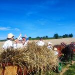 Jak dawniej wyglądały żniwa? Pokaz w Pruchniku 37 - Polskie Radio Rzeszów Jak dawniej wyglądały żniwa? Pokaz w Pruchniku - Polskie Radio Rzeszów