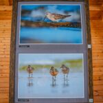 Radio Biwak 2.08 - Ośrodek Edukacyjny Magurskiego Parku Narodowego w Krempnej (zdjęcia) - Polskie Radio Rzeszów