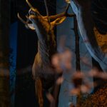 Radio Biwak 2.08 - Ośrodek Edukacyjny Magurskiego Parku Narodowego w Krempnej (zdjęcia) - Polskie Radio Rzeszów