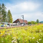 Radio Biwak 17.08 - Uherce Mineralne (zdjęcia) 15 - Polskie Radio Rzeszów Radio Biwak 17.08 - Uherce Mineralne (zdjęcia) - Polskie Radio Rzeszów