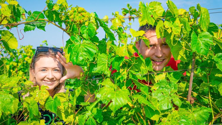 Radio Biwak 18.08 – Jasło (zdjęcia)