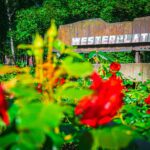 Radio Biwak 9.08 - Westerplatte i Port Gdańsk (zdjęcia) 17 - Polskie Radio Rzeszów Radio Biwak 9.08 - Westerplatte i Port Gdańsk (zdjęcia) - Polskie Radio Rzeszów