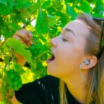 Radio Biwak 18.08 - Jasło (zdjęcia) 21 - Polskie Radio Rzeszów Radio Biwak 18.08 - Jasło (zdjęcia) - Polskie Radio Rzeszów