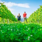 Radio Biwak 18.08 - Jasło (zdjęcia) 24 - Polskie Radio Rzeszów Radio Biwak 18.08 - Jasło (zdjęcia) - Polskie Radio Rzeszów