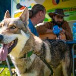 Radio Biwak 19.08 - Cisna (zdjęcia) - Polskie Radio Rzeszów