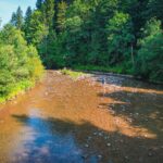 Radio Biwak 19.08 - Cisna (zdjęcia) - Polskie Radio Rzeszów