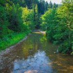 Radio Biwak 19.08 - Cisna (zdjęcia) - Polskie Radio Rzeszów